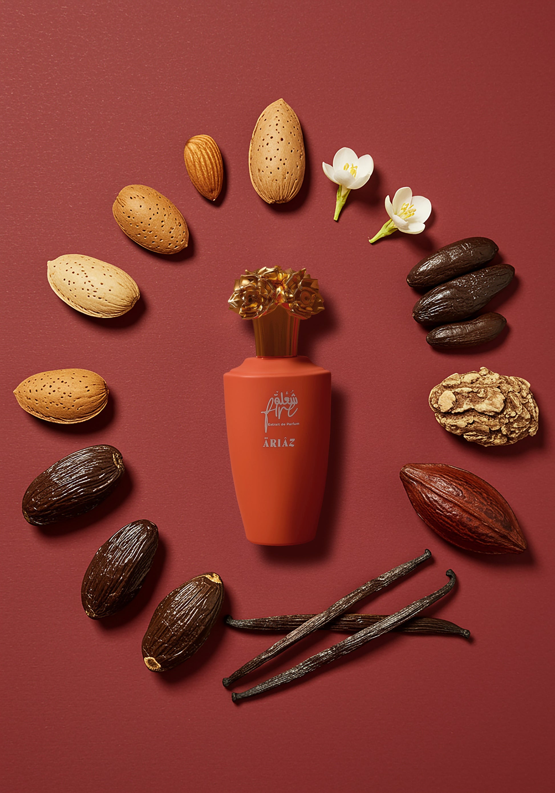 FIRE by ARIAZ Sweet Smoky Gourmand perfume image