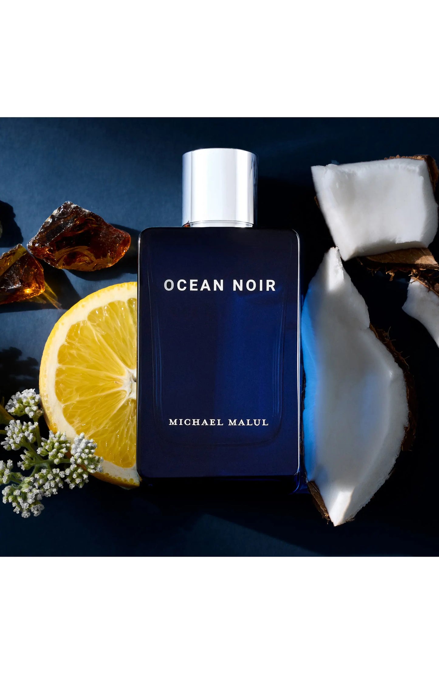 Ocean Noir EDP 100ml (3.4Oz), By Michael Malul