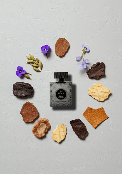 SLAY by ARIAZ Woody Aromatic perfume image