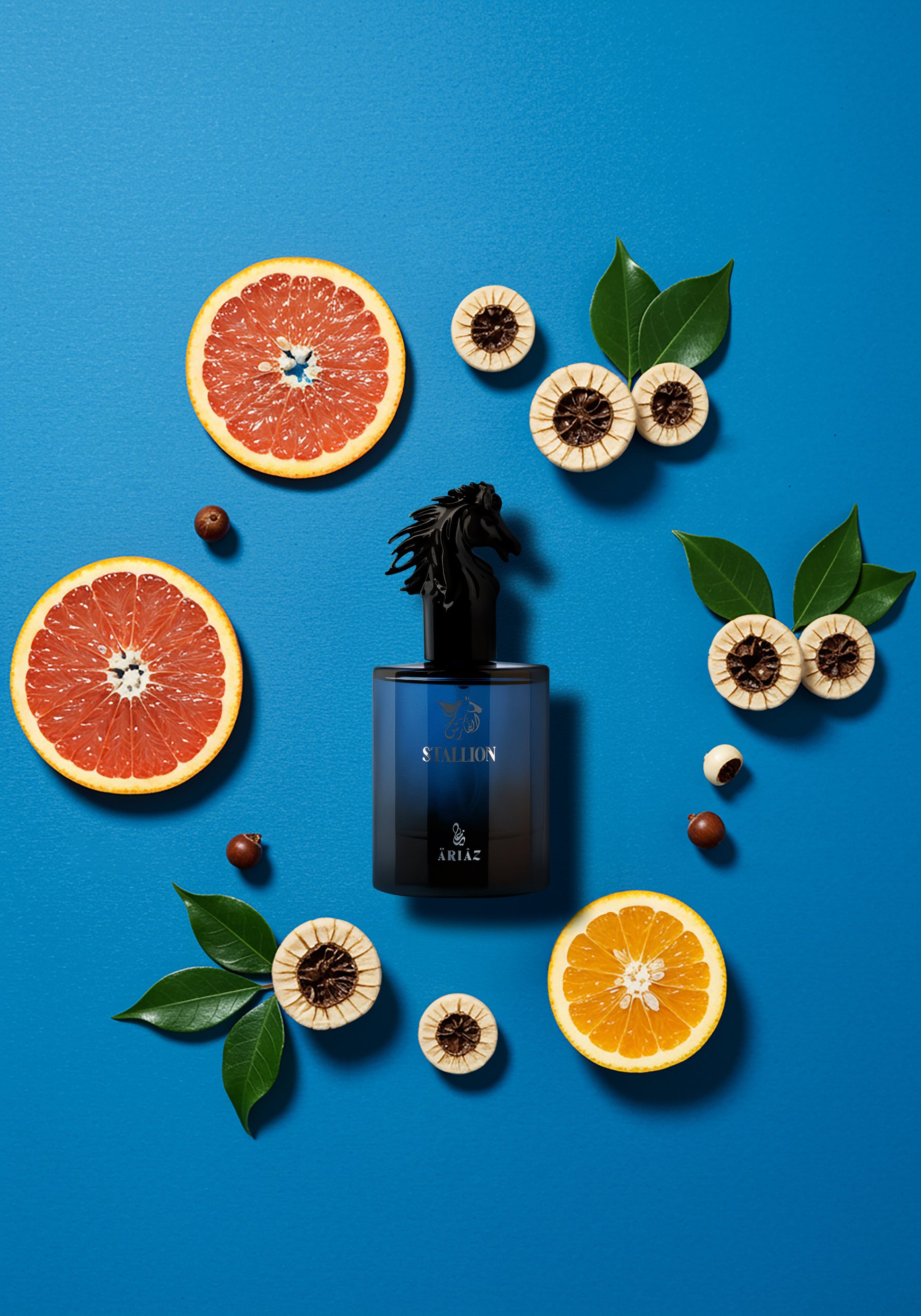 STALLION by ARIAZ Citrus Woody Aromatic perfume image