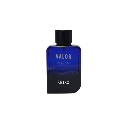 Valor by ARIAZ Spicy Oriental Woody perfume image