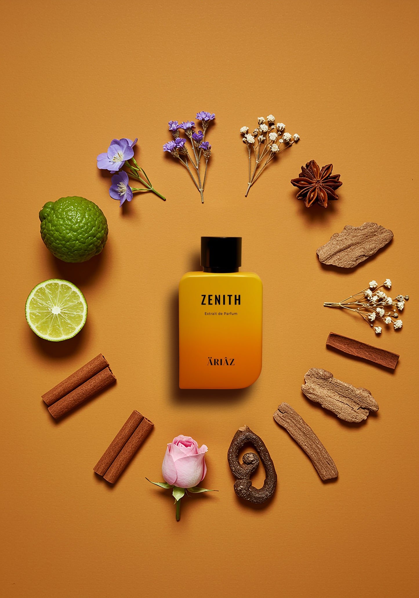 ZENITH by ARIAZ Fresh Amber Musk perfume image